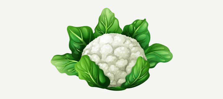 Preview of the Cauliflower best-management practices layer for Nepal