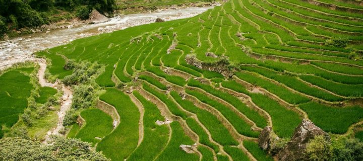 Preview of the Rice best-management practices layer for Nepal