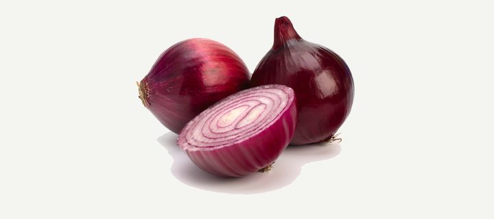 Preview of the Onion pests & diseases layer for Nepal